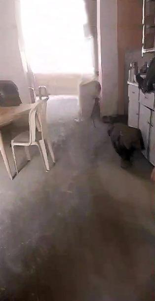 Vendo céntrica casa en el corazón comercial de La Parada a 1 cuadra de la Av Aviación-2